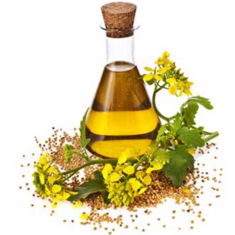 برای تقویت موهای مان چه کنیم؟
